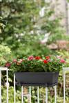 barcelona trough saucer 90cm anthracite